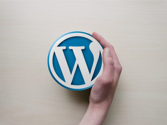 Wordpress Professional Web Design in Montreal